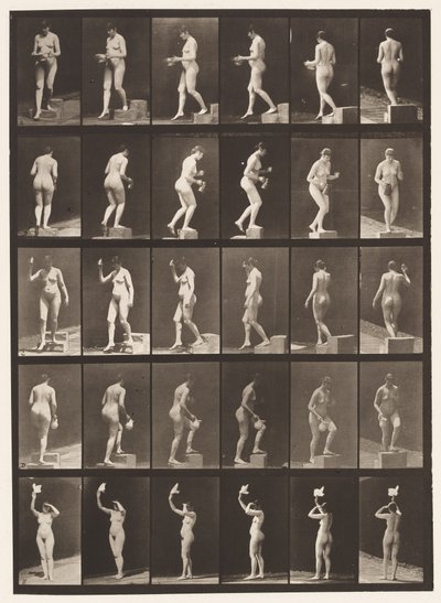 Plaka 525. A, Azalan Basamak; B, Yükselen Adım;, 1872-1885 by Eadweard Muybridge