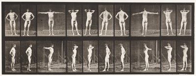 Plaka 529. Çeşitli Pozlar by Eadweard Muybridge