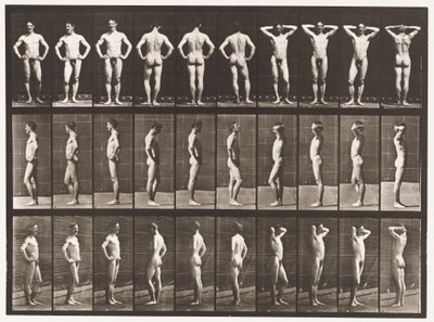 Plaka 530. Çeşitli Pozlar by Eadweard Muybridge