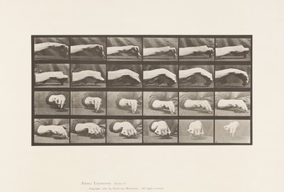Plaka 532.El Hareketi; Daire Çizmek, 1885 by Eadweard Muybridge
