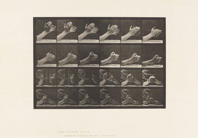 Plaka 533. El Hareketi; Sıkışan Eller, 1885 by Eadweard Muybridge
