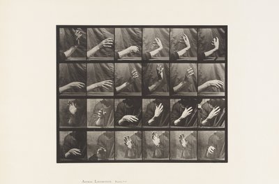 Plaka 535. El Hareketi; Dayak Zamanı, 1885 by Eadweard Muybridge