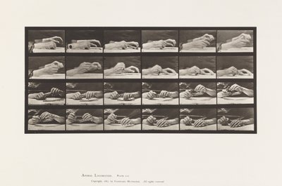 Plaka 536. El Hareketi; Kalem Değiştiren Eller by Eadweard Muybridge