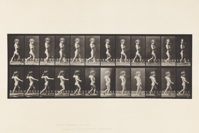 Plaka 540.A, Yay Ayaklar; Oğlan; B, Omurga Çürükleri; Yürüyen Kız, 1885 by Eadweard Muybridge