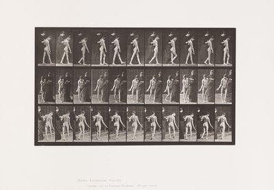 Plaka 541. Multipl Serebro-Spinal Skleroz (Koreik); Yürüme by Eadweard Muybridge