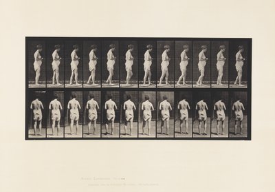 Plaka 542. Multipl Serebro-Spinal Skleroz - Yürüyüş by Eadweard Muybridge