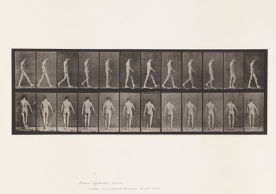 Plaka 546. Lokomotor Ataksi; Yürüyüş, 1885 by Eadweard Muybridge
