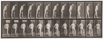 Plaka 547. Hemipleji; Koltuk değneğiyle yürümek, 1885 by Eadweard Muybridge