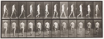 Plaka 549. Epilepsi; Yürüyüş, 1885 by Eadweard Muybridge