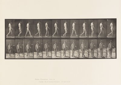 Plaka 551.Epilepsi; Yürüyüş, 1885 by Eadweard Muybridge
