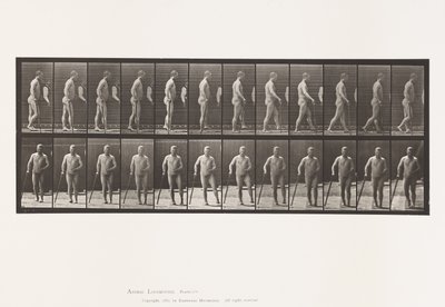 Plaka 552. Hemipleji; Bastonla Yürüyüş, 1885 by Eadweard Muybridge