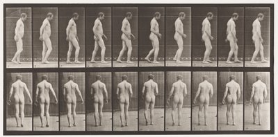 Plaka 553. Kafa Travmalarından Sonra; Yürüyüş, 1885 by Eadweard Muybridge