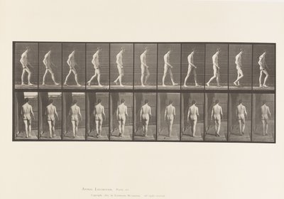 Plaka 554. Lokomotor Ataksi; Yürüyüş, 1885 by Eadweard Muybridge