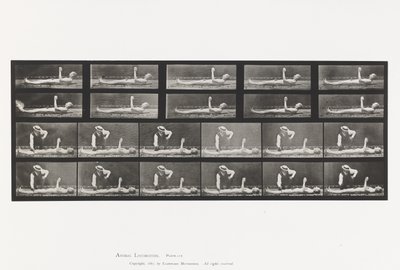 Plaka 556.Yerel Kore; A, B, Yatarken by Eadweard Muybridge