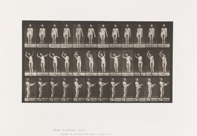 Plaka 557.Yerel Kore; A, B, C, Ayaktayken, 1885 by Eadweard Muybridge