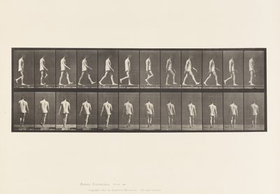 Plaka 560. Lokomotor Ataksi; Yürüyüş, 1885 by Eadweard Muybridge