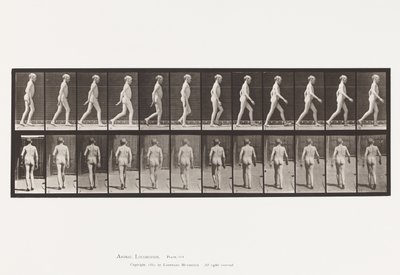 Plaka 562. Omurganın Yanal Eğriliği; Yürüme by Eadweard Muybridge