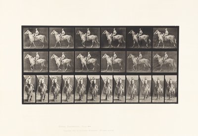 Plaka 583.Yürüme; Sele; Kadın Binici; Çıplak; Gri At Tan, 1885 by Eadweard Muybridge