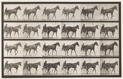 Plaka 587. Yürüyüş; somurtkan; Kuzukulağı Mare Nellie Gül, 1885 by Eadweard Muybridge