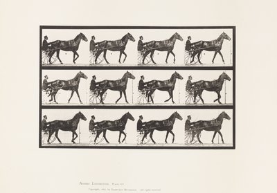 Plaka 588.Yürüme; somurtkan; Bay Horse Reuben, 1885 by Eadweard Muybridge