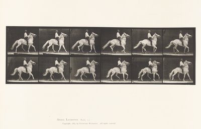 Plaka 589.Ambling by Eadweard Muybridge