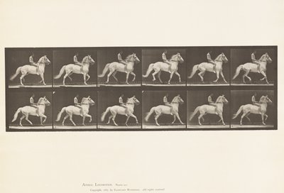 Plaka 590. Taşıma by Eadweard Muybridge