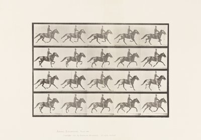 Plaka 591. Sallanan by Eadweard Muybridge