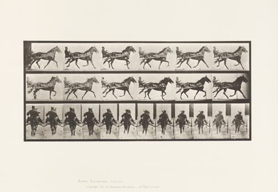 Plaka 594. Sallanma (Pacing): Somurtkan; Kahverengi At Pronto by Eadweard Muybridge