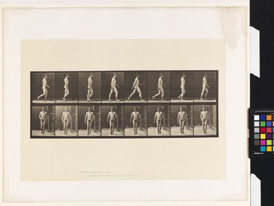 Plaka 5.Yürüyüş by Eadweard Muybridge