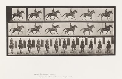 Plaka 601. Paça; Sele; kahverengi kısrak güzelliği by Eadweard Muybridge