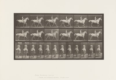 Plaka 602.Tırçalama;Korumasız; Binici,43,Çıplak;Açık Gri Horse Smith, 1885 by Eadweard Muybridge