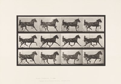 Plaka 606. Paça; somurtkan; Bay Horse, Ruben by Eadweard Muybridge