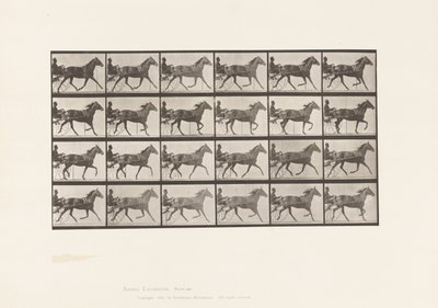 Plaka 607. Paça; somurtkan; Bay Mare, Lizzie M. by Eadweard Muybridge