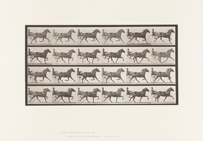Plaka 609. Paça; somurtkan; Bay Mare, Lizzie M. by Eadweard Muybridge