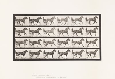 Plaka 614. Paça; Dörtnala Koşmak; Kuzukulağı Kısrak Flode Holden by Eadweard Muybridge