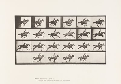 Plaka 625. Dörtnala; Safkan Bay Atı Buketi by Eadweard Muybridge