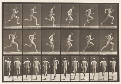 Plaka 62. Tam Hızda Koşmak., 1872-1885 by Eadweard Muybridge