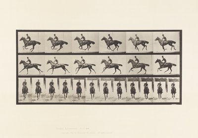 Plaka 632. Dörtnala; Sele; Safkan Bay Atı Buketi by Eadweard Muybridge