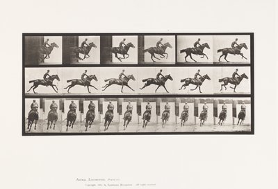 Plaka 633. Dörtnala; Sele; Safkan Bay Atı Buketi by Eadweard Muybridge