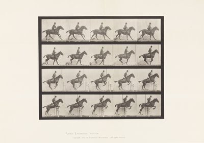 Plaka 636. Engel Atlamak; Sele; Sıçrayış için hazırlanıyor by Eadweard Muybridge