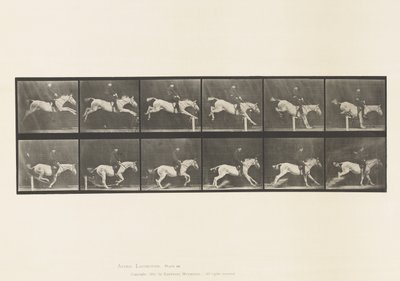 Plaka 641. Engel Atlamak; Sele; Engeli Aşmak ve by Eadweard Muybridge