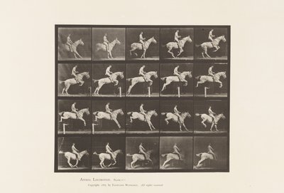 Plaka 642. Engel Atlamak; Sele; Binici, 105, Çıplak; Gri Kısrak, 1885 by Eadweard Muybridge