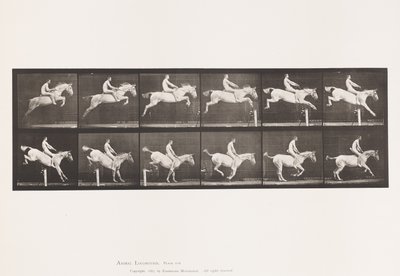 Plaka 643. Bir Engelden Atlamak; Eyersiz; Takas ve İniş; by Eadweard Muybridge