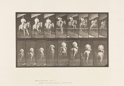 Plaka 644. Engel Atlamak; Sele; Takas ve İniş by Eadweard Muybridge