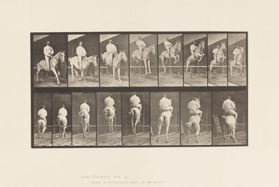 Plaka 645. Bir Engelden Atlamak; Sele; Takas ve İniş by Eadweard Muybridge