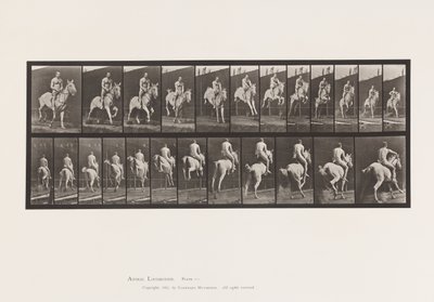 Plaka 646. Bir Engelden Atlamak; Sele; Binici, 105, Çıplak;, 1885 by Eadweard Muybridge