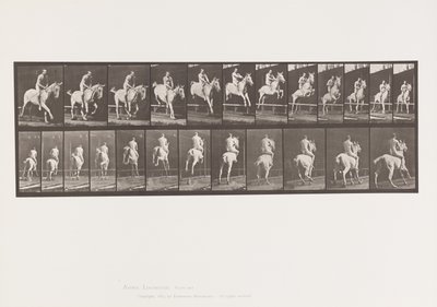 Plaka 647. Engel Atlamak; Eyersiz; Binici by Eadweard Muybridge