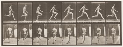 Plaka 65. Tam Hızda Koşmak., 1872-1885 by Eadweard Muybridge