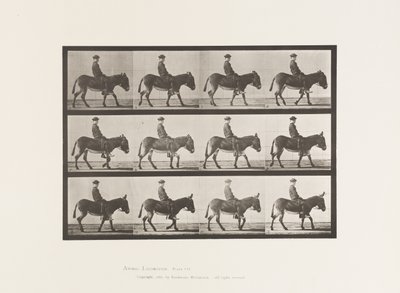 Plaka 665. Eşek; Yürüme; Eyersiz; Bir Çocuk Binme, Jennie by Eadweard Muybridge