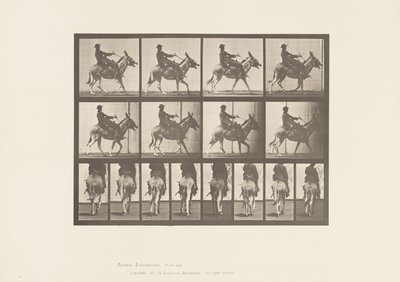 Plaka 668. Eşek; dolaşmak; Sele; Bir Çocuk Binme, Hayvanat Bahçesi by Eadweard Muybridge